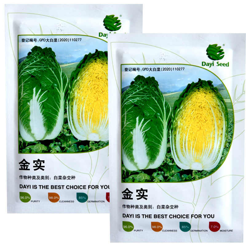 金实白菜种子黄芯耐抽苔抗病强春夏秋露地种植