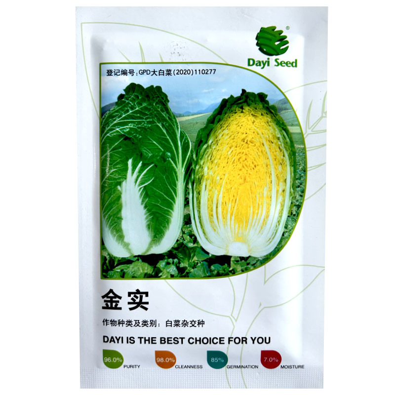 金实白菜种子黄芯耐抽苔抗病强春夏秋露地种植