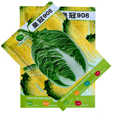 皇冠906大白菜种子深黄芯55天上市基地大田露地种