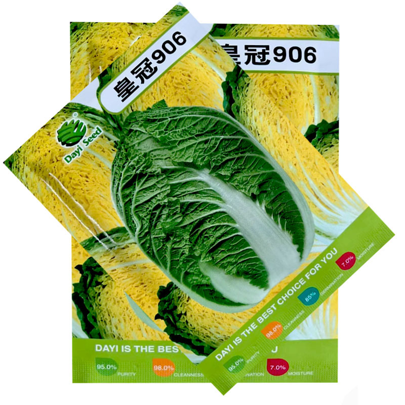 皇冠906大白菜种子深黄芯55天上市基地大田露地种