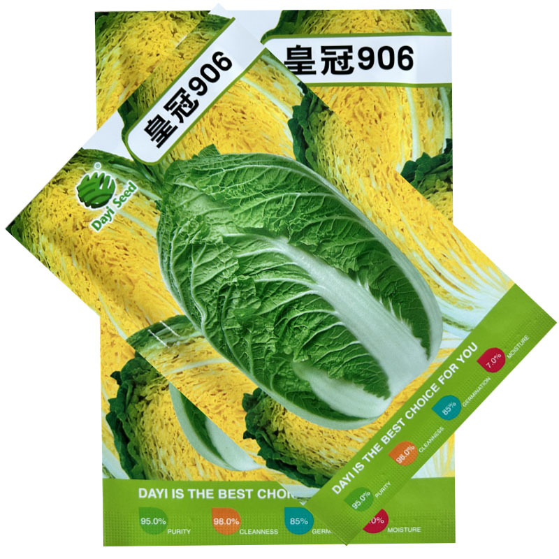 皇冠906大白菜种子深黄芯55天上市基地大田露地种