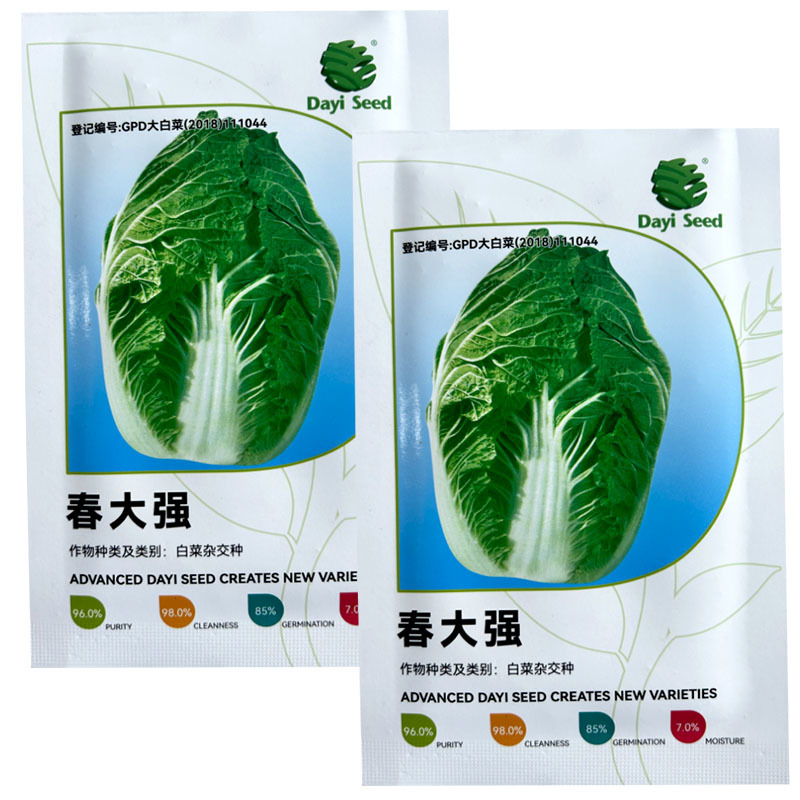 春大强进口大白菜籽早春种植高产春秋露地种植