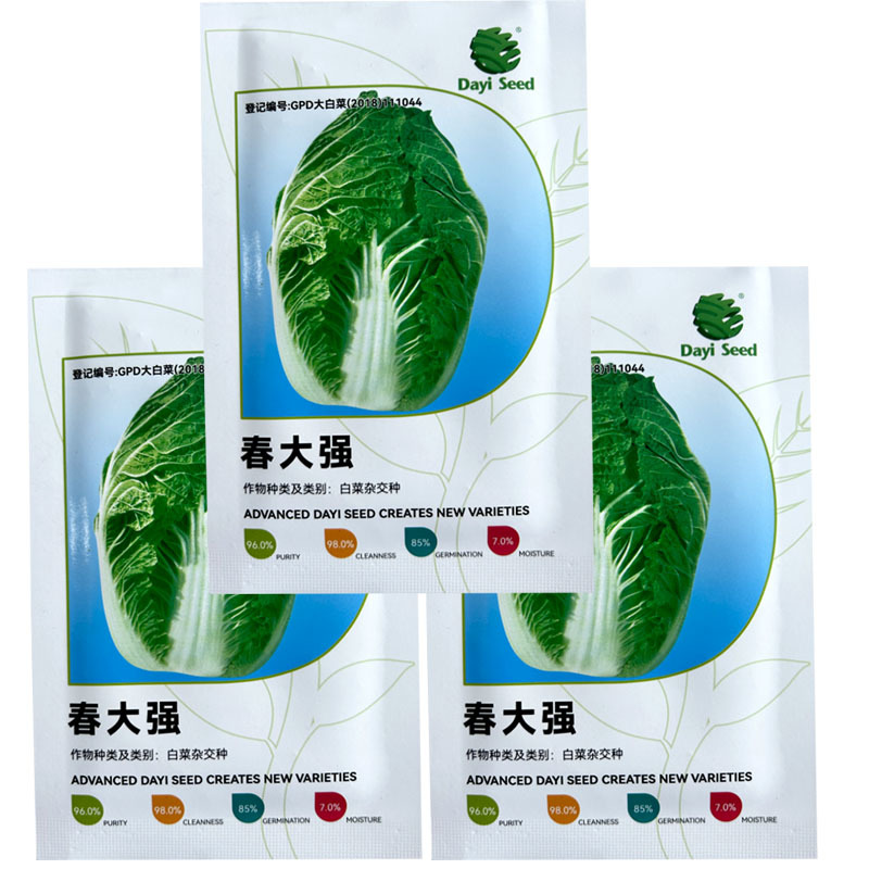春大强进口大白菜籽早春种植高产春秋露地种植