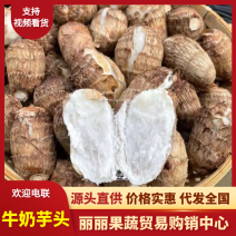 【山东香芋牛奶芋头】规格齐全，价格可谈（坏烂包赔）发全国