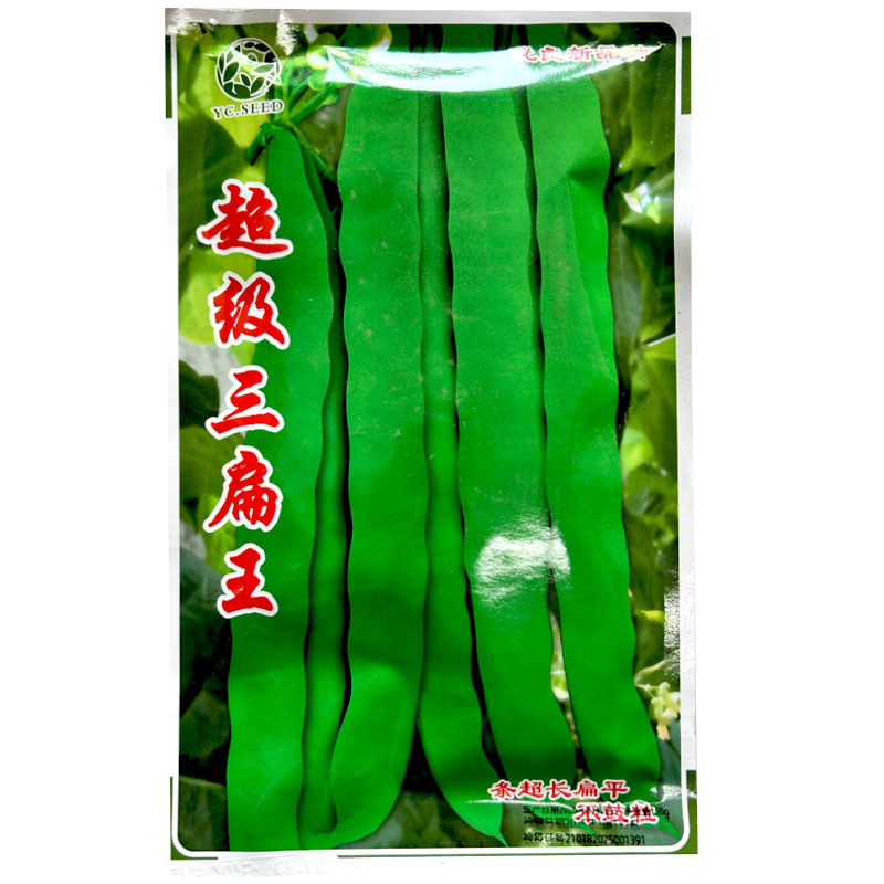 三扁王长条超长扁豆种子不鼓粒肉厚产量高早熟基地专用