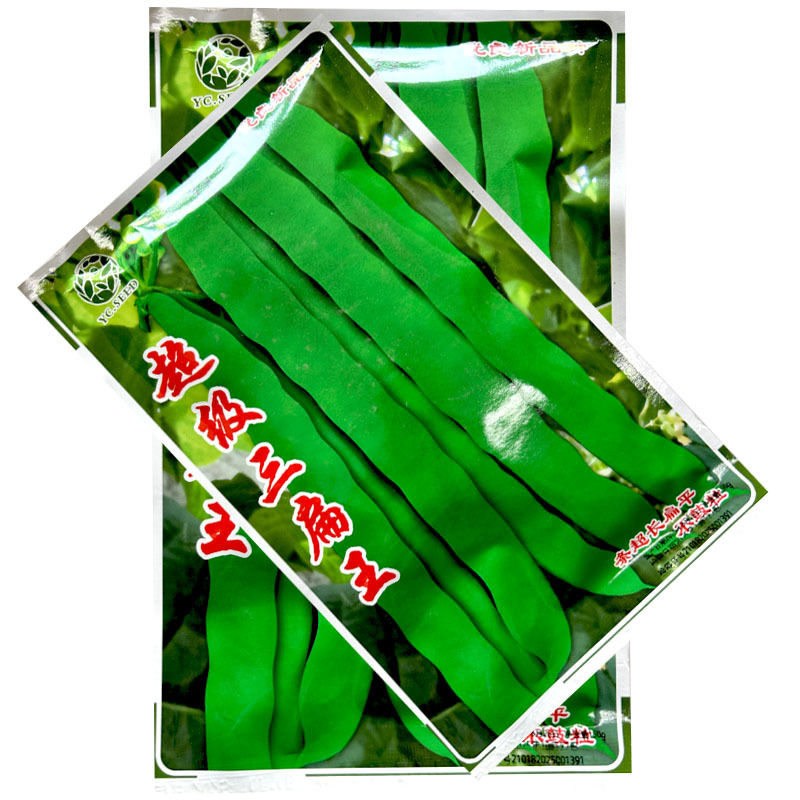 三扁王长条超长扁豆种子不鼓粒肉厚产量高早熟基地专用