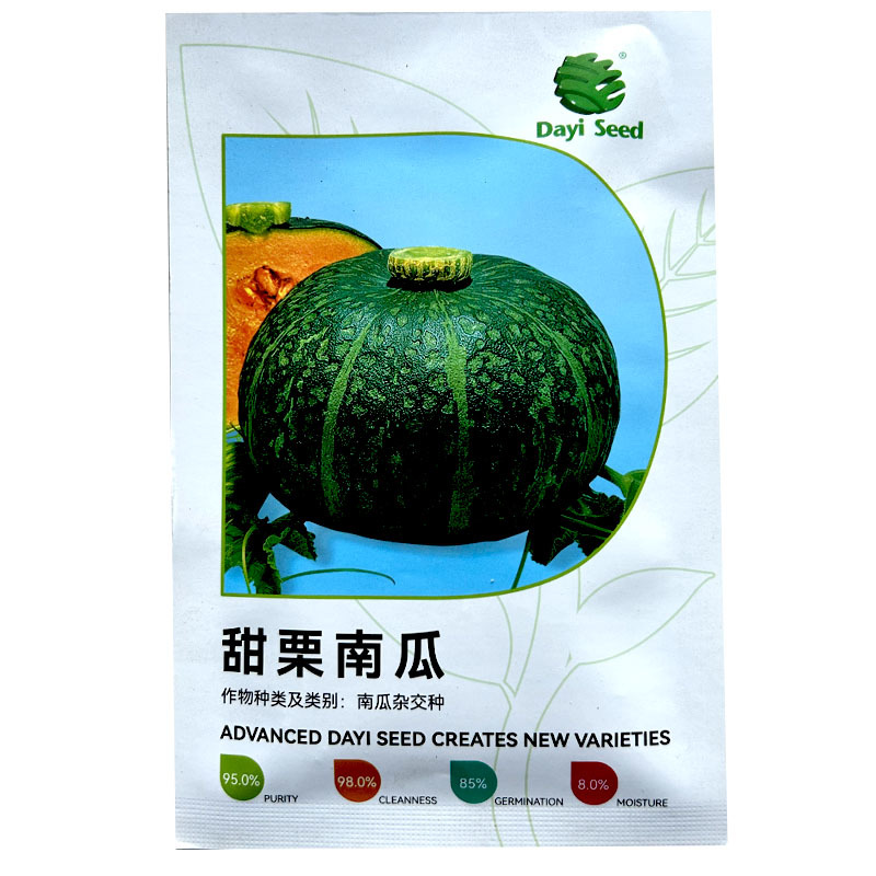 甜栗南瓜种子贝贝瓜高产果肉浓黄色粉质甜味好基地专用