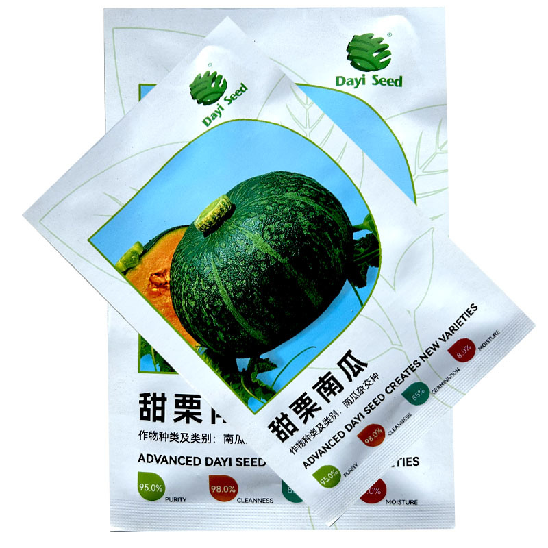 甜栗南瓜种子贝贝瓜高产果肉浓黄色粉质甜味好基地专用