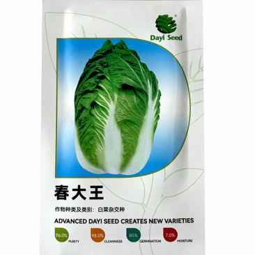 春大王白菜种子早熟春秋季大白菜耐低温接球白菜10g