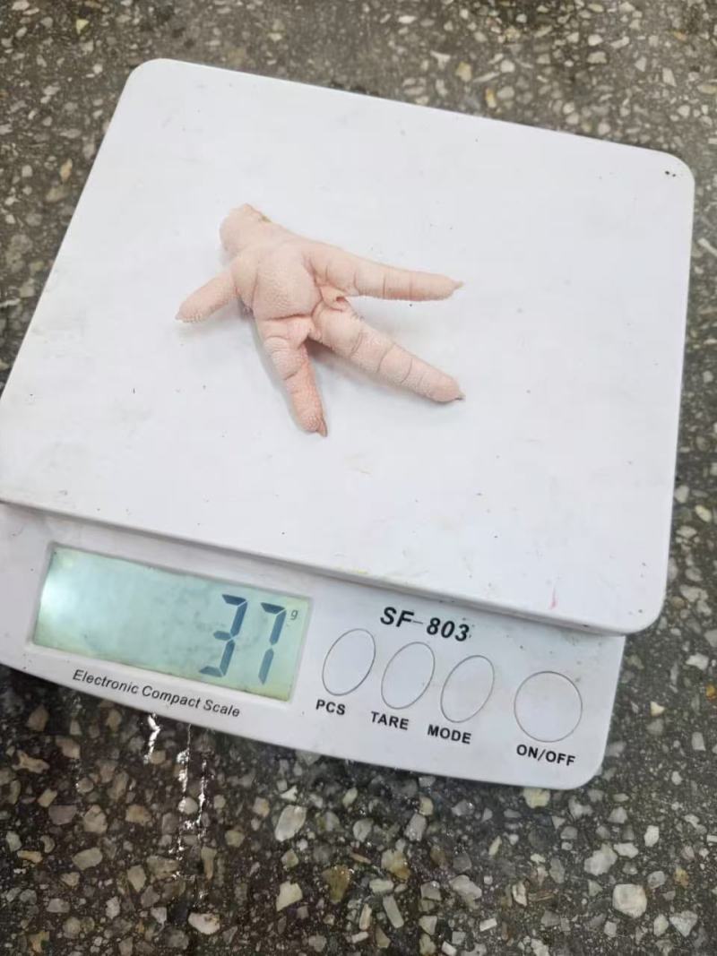 冷冻鸡手