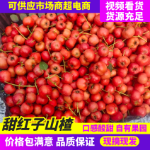 支持零售/山东甜红子山楂/量大价优/产地发货/个大鲜艳