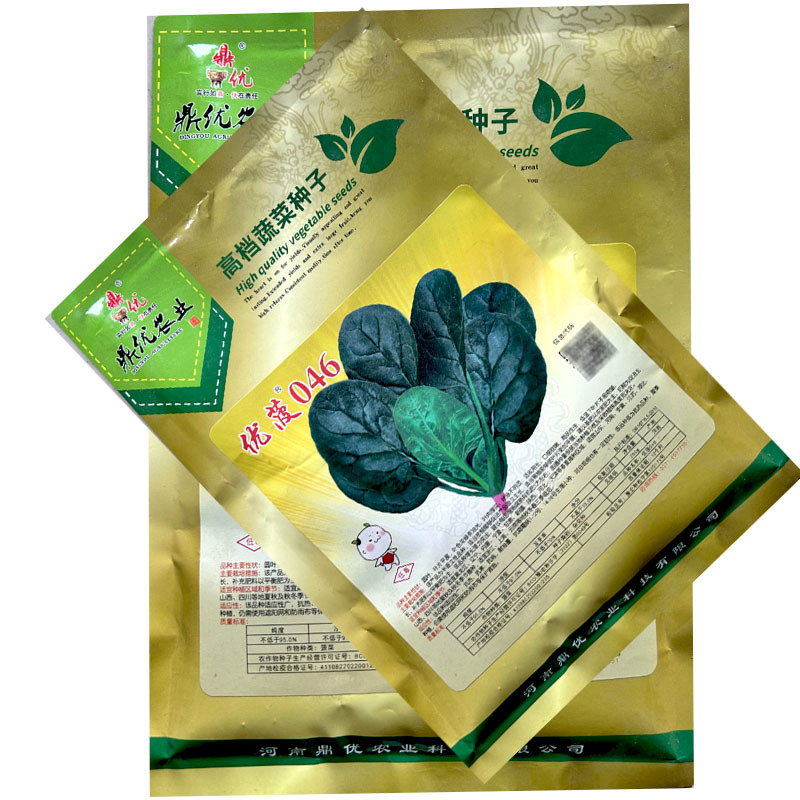 优菠046圆叶菠菜种子四季抗病耐寒耐热越冬大田专用