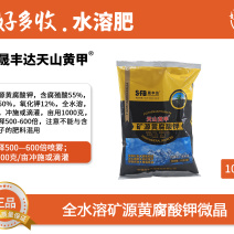 新疆晟丰达天山黄甲矿源黄腐酸钾微晶体1000克