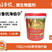 山东鲁抗豆蛋白10亿/ml枯草芽孢杆菌20公斤