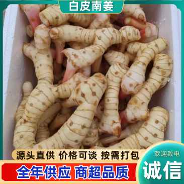 广西防城港白皮南姜，现采现挖，新鲜出货，基地发货随行就市