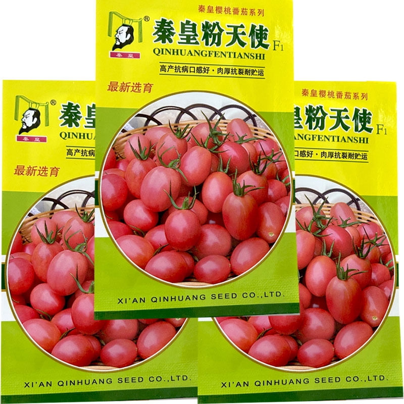 樱桃番茄种子秦皇粉天使早熟座率高果皮厚
