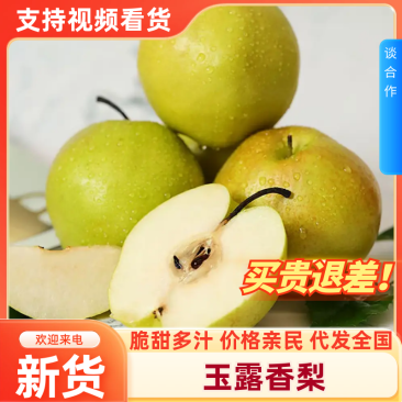 【一件代发】山西玉露香梨现摘现发货源充足多规格包售后