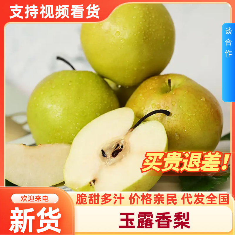 【一件代发】山西玉露香梨现摘现发货源充足多规格包售后