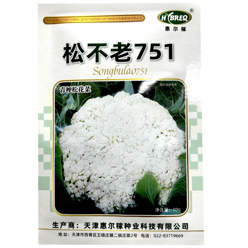 松不老751绿梗松花菜种子有机中熟平原种植春秋种