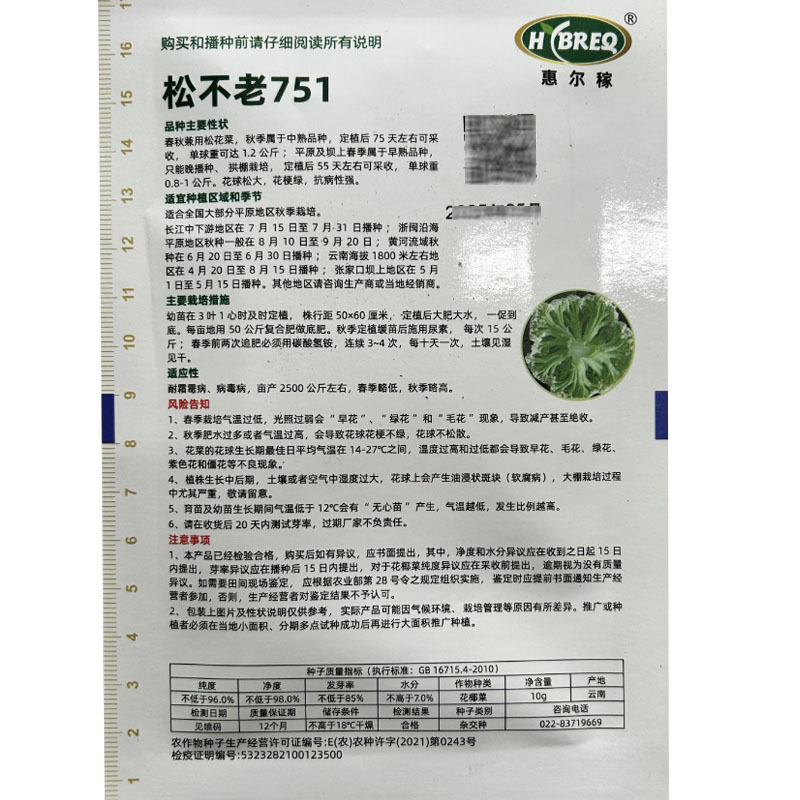 松不老751绿梗松花菜种子有机中熟平原种植春秋种