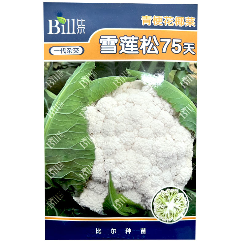 雪莲松75天青梗花椰菜种子8g耐热耐湿绿梗松花菜