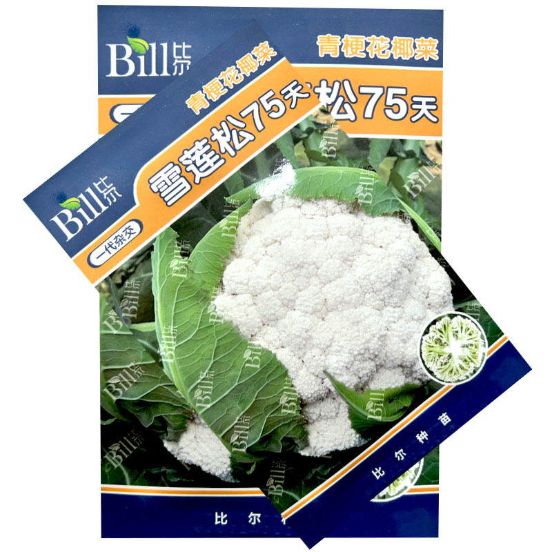 雪莲松75天青梗花椰菜种子8g耐热耐湿绿梗松花菜