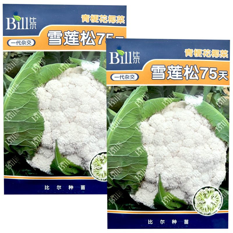 雪莲松75天青梗花椰菜种子8g耐热耐湿绿梗松花菜