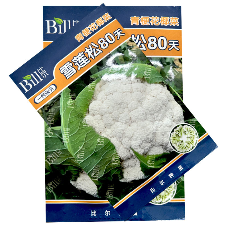 雪莲松80天青梗花椰菜种子8g中晚熟耐寒耐热浅绿梗雪白松