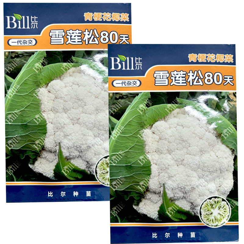 雪莲松80天青梗花椰菜种子8g中晚熟耐寒耐热浅绿梗雪白松