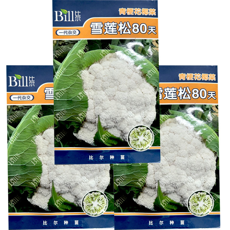 雪莲松80天青梗花椰菜种子8g中晚熟耐寒耐热浅绿梗雪白松