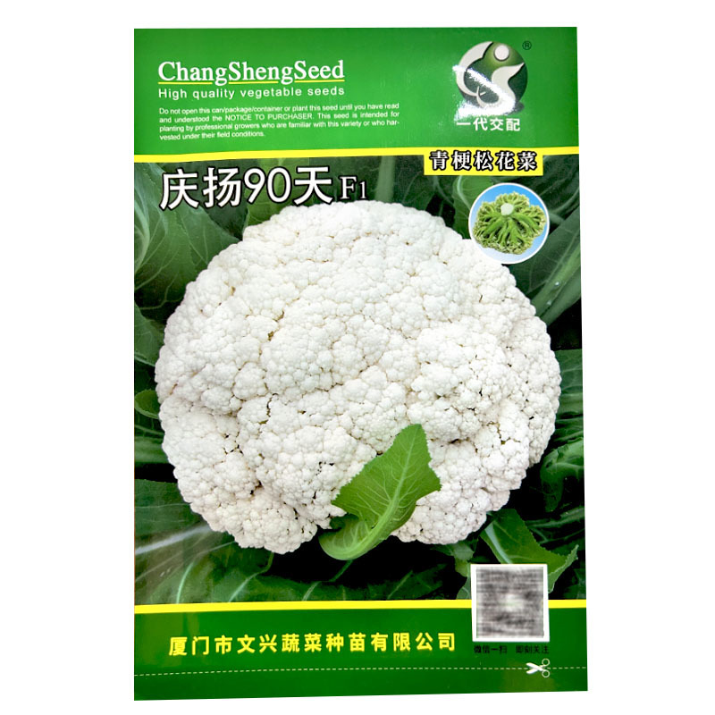 庆扬90天青梗松花菜种子散花菜种籽白花菜籽中熟有机花菜种
