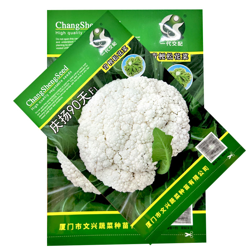 庆扬90天青梗松花菜种子散花菜种籽白花菜籽中熟有机花菜种