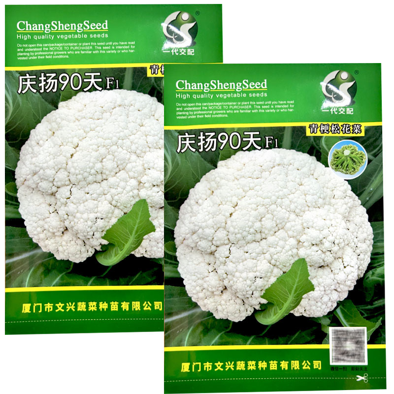庆扬90天青梗松花菜种子散花菜种籽白花菜籽中熟有机花菜种