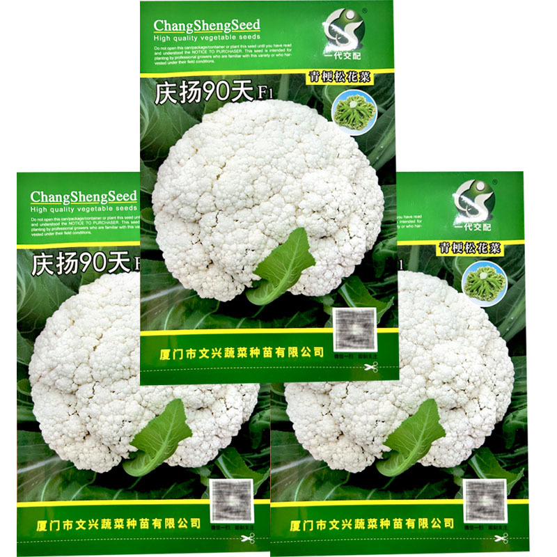庆扬90天青梗松花菜种子散花菜种籽白花菜籽中熟有机花菜种
