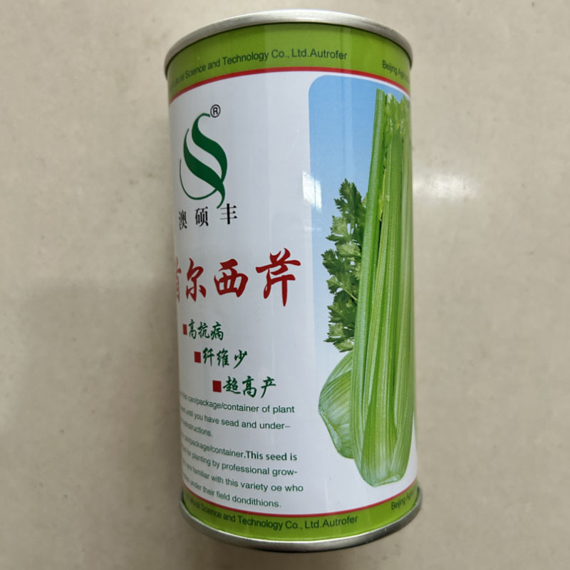首尔西芹种子高产耐热黄嫩实心四季西芹菜种子