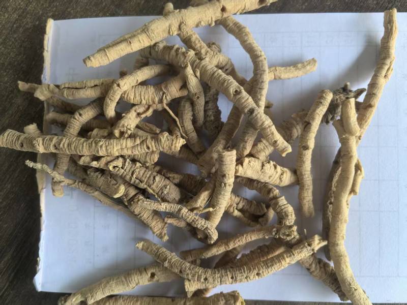 远志远志筒抽芯百分之80一手货源中药材皮肤零售