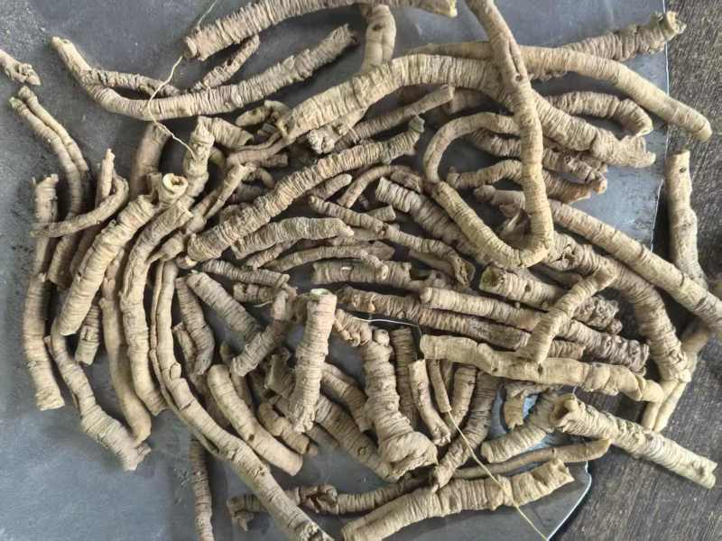 远志远志筒抽芯百分之80一手货源中药材皮肤零售