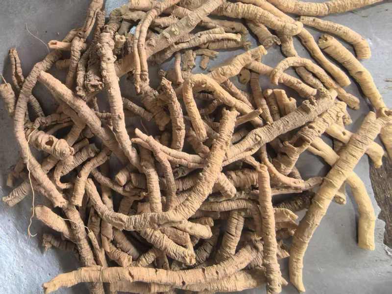 远志远志筒抽芯百分之80一手货源中药材皮肤零售