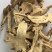 白术统货白术一手货源批发零售