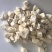 粉葛根新货葛根东弘药业一手货源