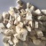 粉葛根新货葛根东弘药业一手货源