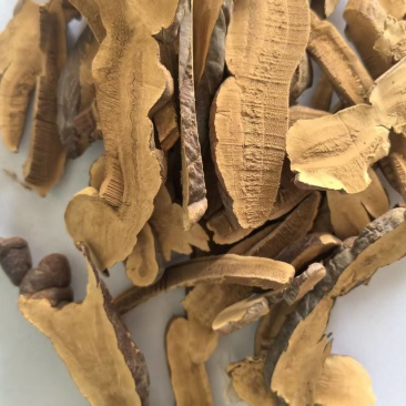 灵芝片灵芝片泡酒泡茶煲汤滋补干货无硫中药材