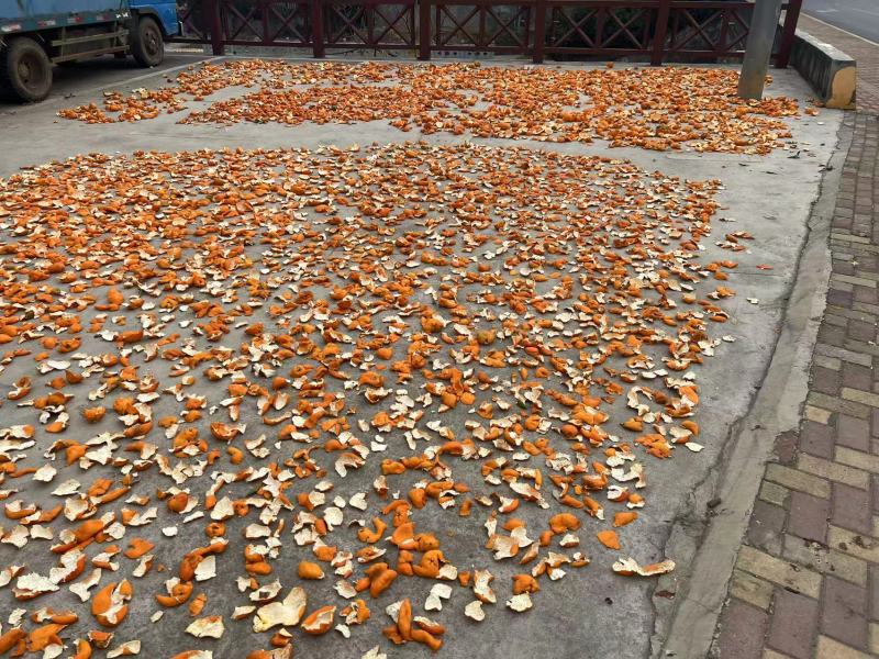 湖南本地中药材陈皮量大价优/可煲汤、欢迎咨询