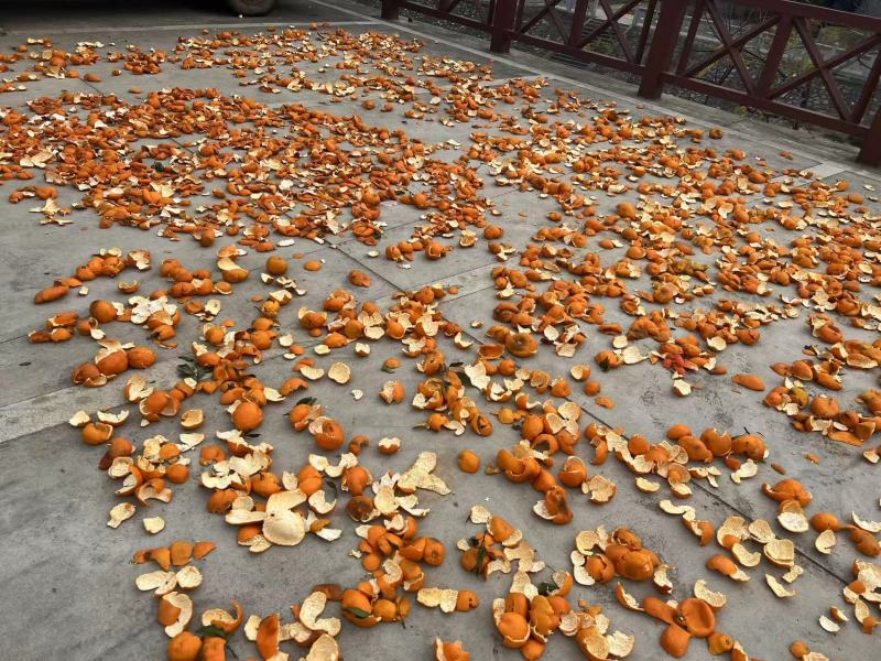 湖南本地中药材陈皮量大价优/可煲汤、欢迎咨询