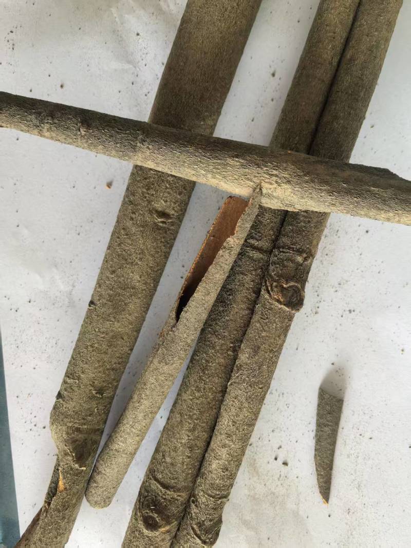 肉桂肉桂筒肉桂中通批发零售，欢迎来电咨询，规格齐全
