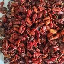 山茱萸无糖山茱萸山萸肉干货枣皮实拍