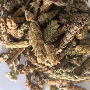 夏枯球别名夏枯草夏归球可搭配多品种采购大货