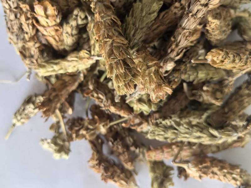 夏枯球别名夏枯草夏归球可搭配多品种采购大货