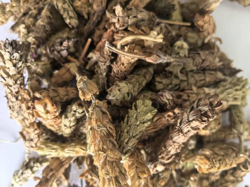 夏枯球别名夏枯草夏归球可搭配多品种采购大货