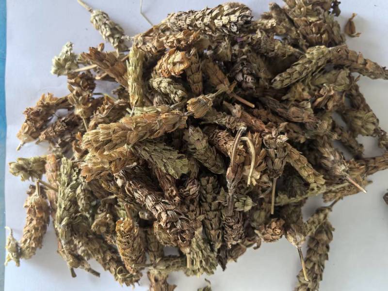 夏枯球别名夏枯草夏归球可搭配多品种采购大货